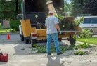 Hay Valleytree-cutting-services-13.jpg; ?>