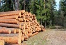 Hay Valleytree-cutting-services-31.jpg; ?>